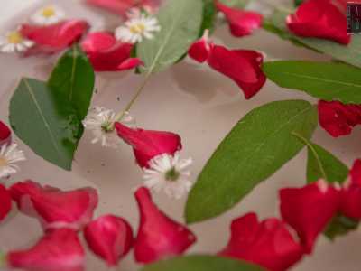 Si avvicina poi a una ciotola ricca di fiori, oli essenziali, foglie e ancora petali di rose...